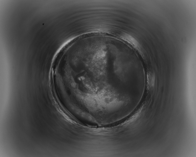 X0000087710780200705041057