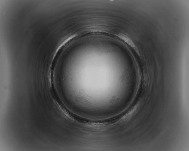 X0000087710782200705041057