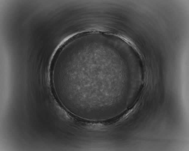 X0000087710784200705041057