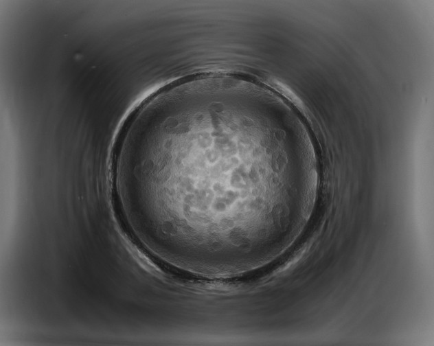 X0000087710787200705041057