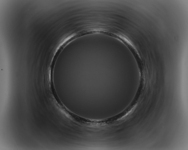 X0000087710790200705041057