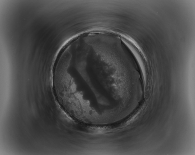 X0000087710791200705041057