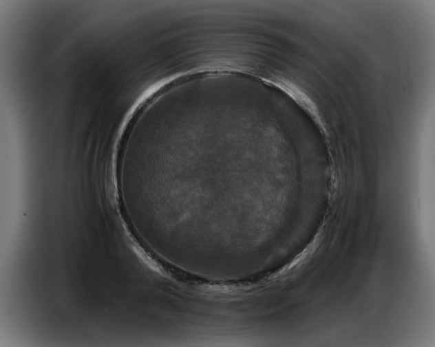 X0000087710792200705041057