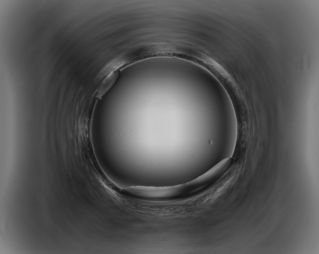 X0000087710793200705041057