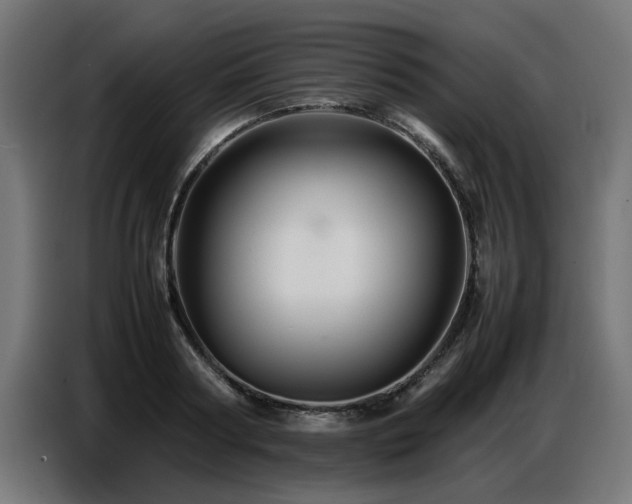 X0000087710794200705041057