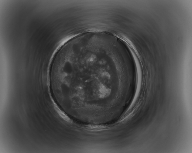 X0000087710795200705041057