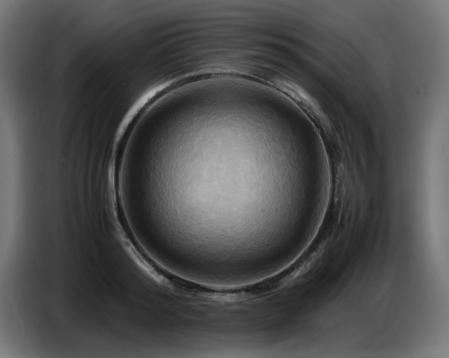 X0000087710796200705041057