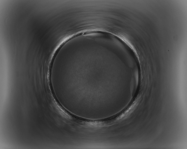 X0000087710797200705041057