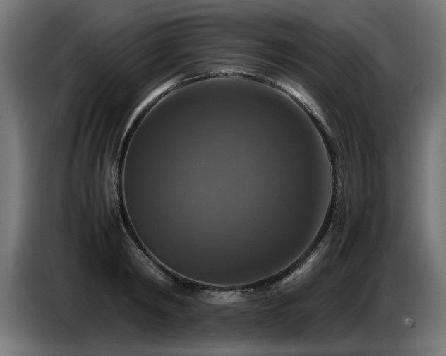 X0000087710798200705041057