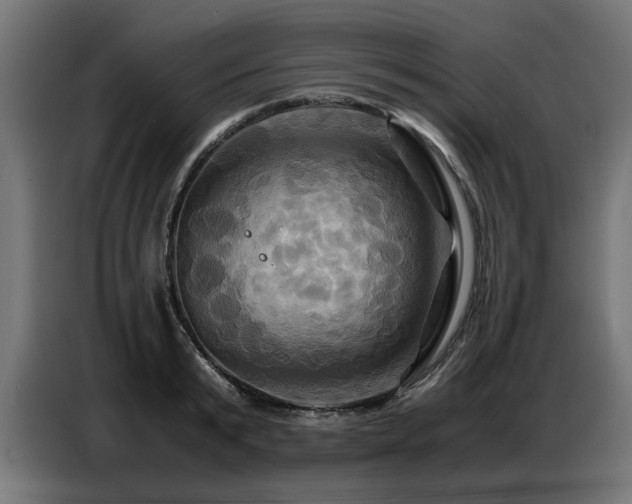 X0000087710799200705041057