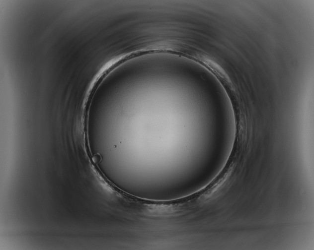 X0000087710800200705041057