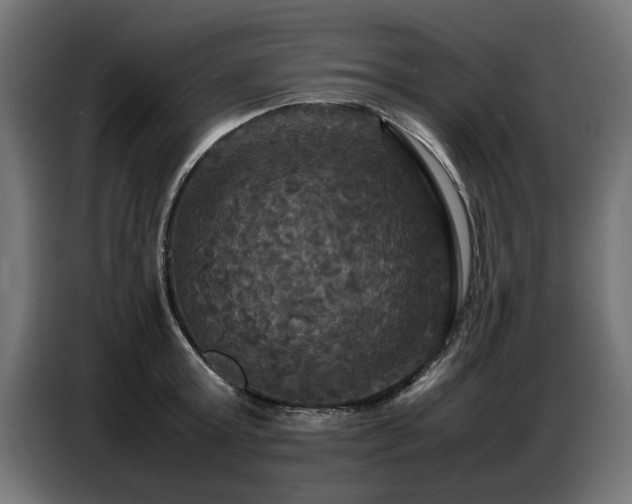 X0000087710803200705041057
