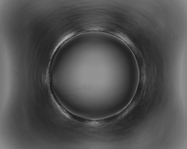 X0000087710806200705041057