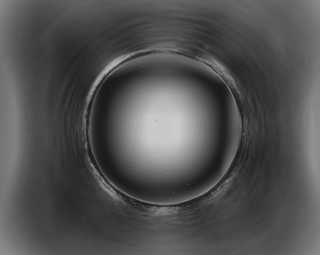 X0000087710808200705041057