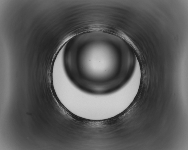 X0000087710810200705041057