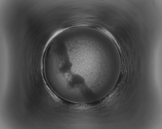 X0000087710811200705041057