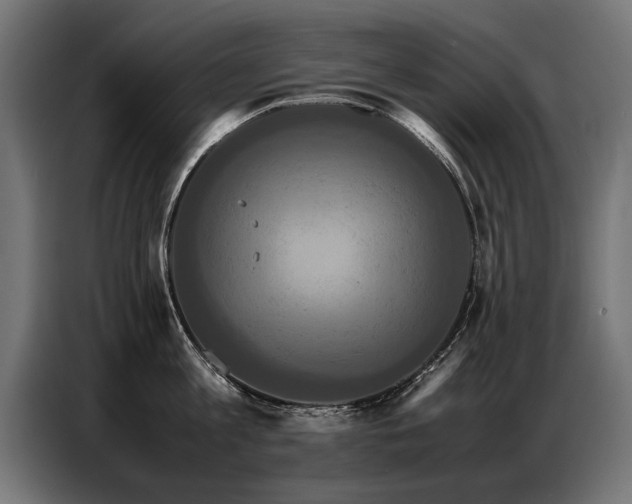 X0000087710813200705041057