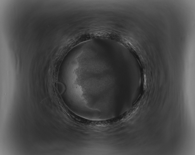 X0000087710817200705041056