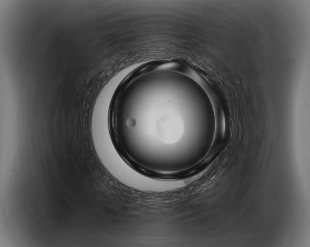 X0000087710818200705041056