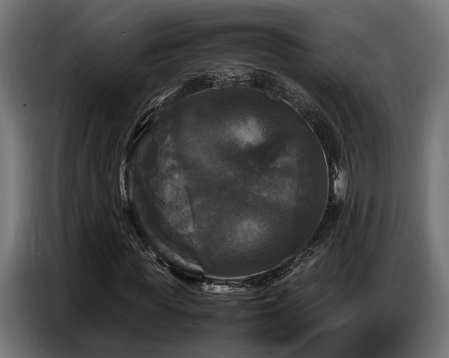X0000087710819200705041056