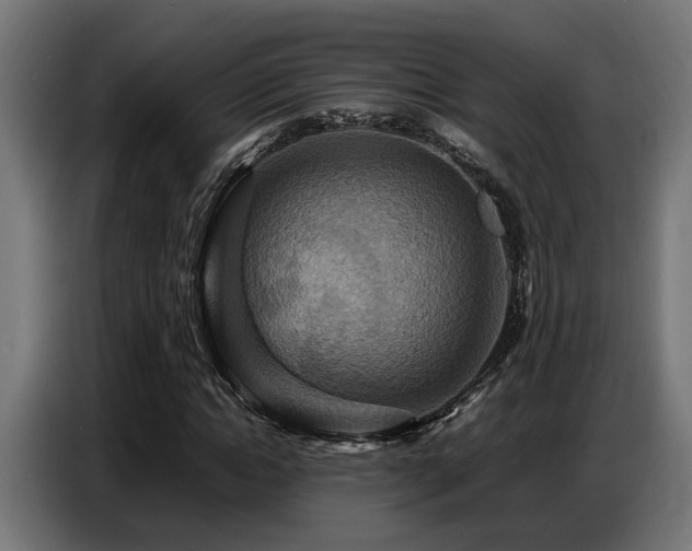 X0000087710822200705041056