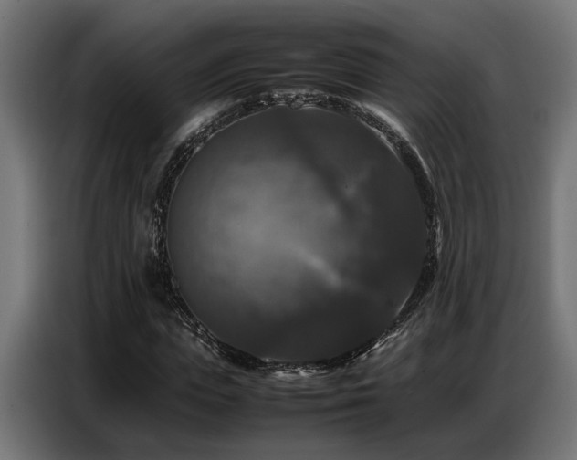 X0000087710823200705041056