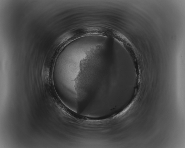 X0000087710825200705041056