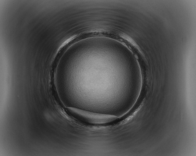 X0000087710826200705041056