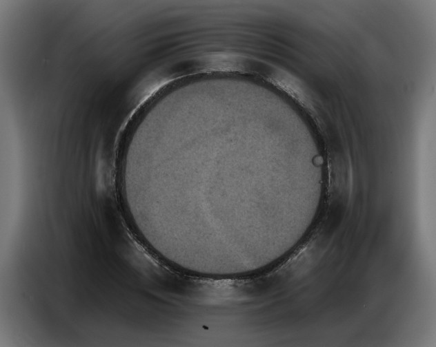 X0000087710828200705041057