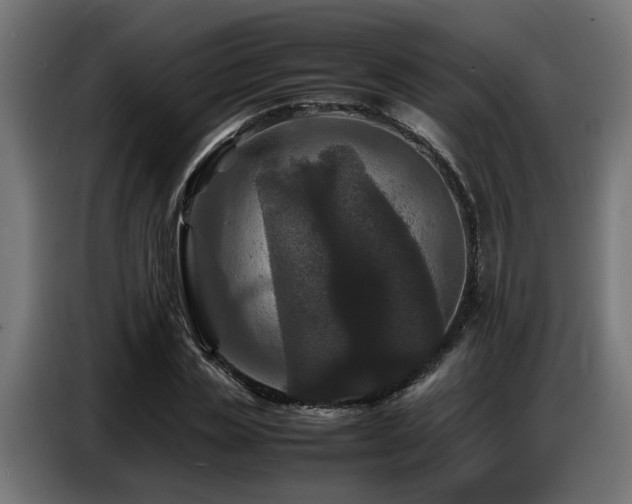 X0000087710829200705041057