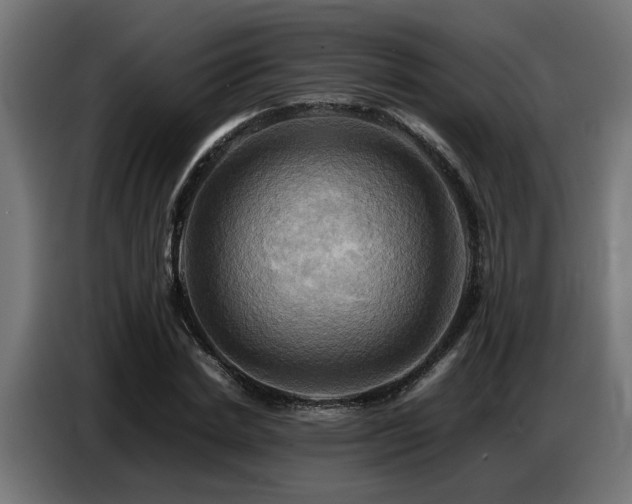 X0000087710830200705041057