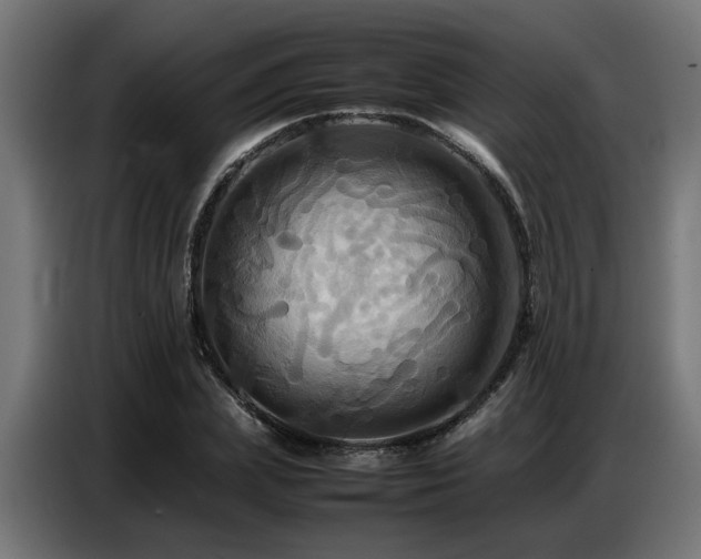 X0000087710831200705041057