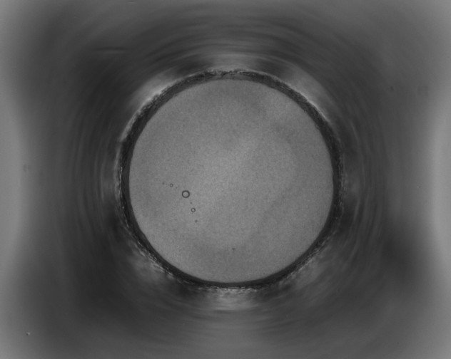 X0000087710832200705041057