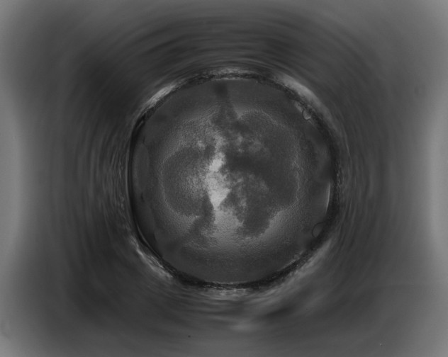 X0000087710833200705041057