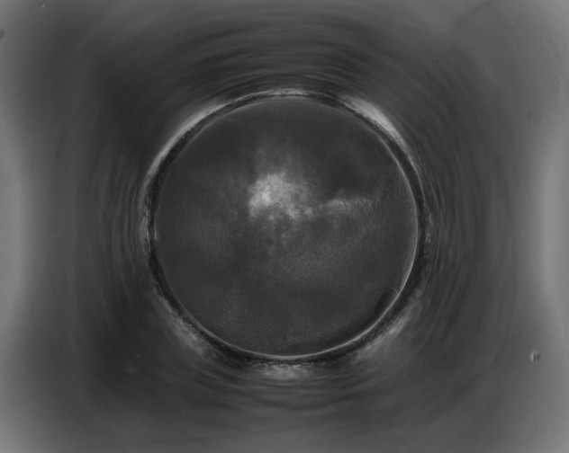 X0000087710835200705041057