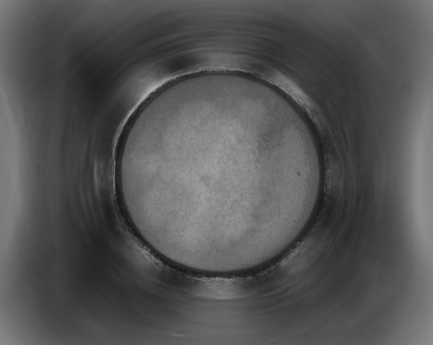 X0000087710836200705041057