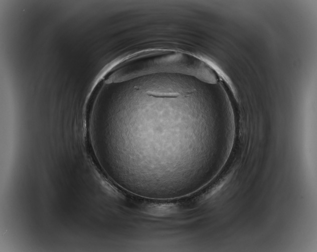 X0000087710837200705041057