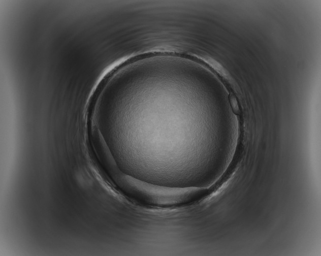 X0000087710838200705041057