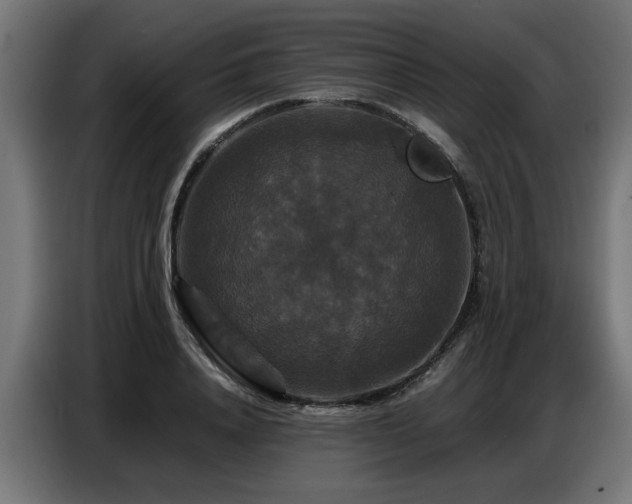 X0000087710840200705041057