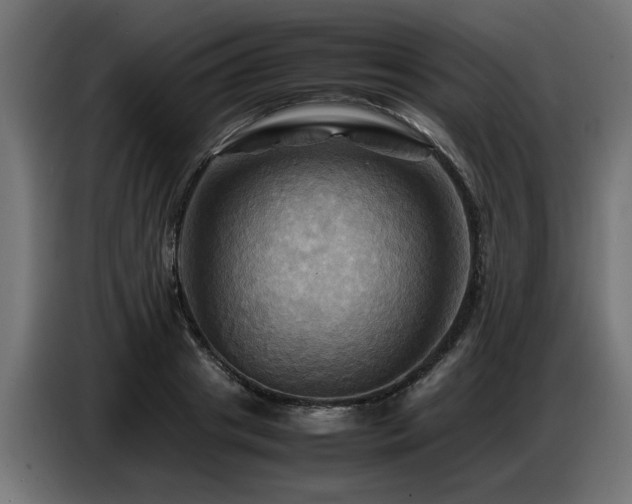 X0000087710841200705041057