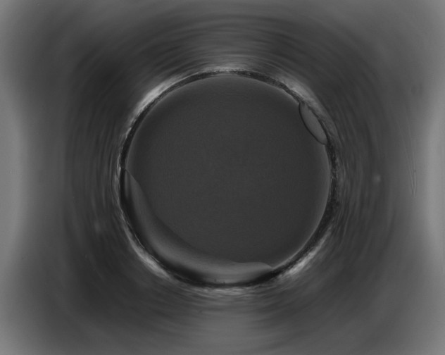 X0000087710842200705041057