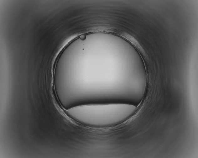 X0000087710844200705041057