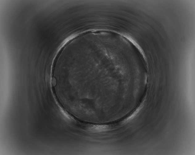 X0000087710845200705041057