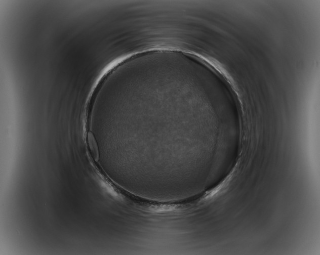 X0000087710846200705041057