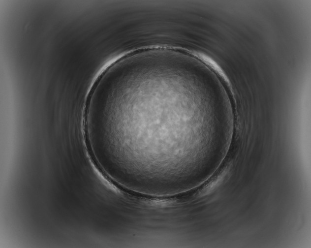 X0000087710847200705041057