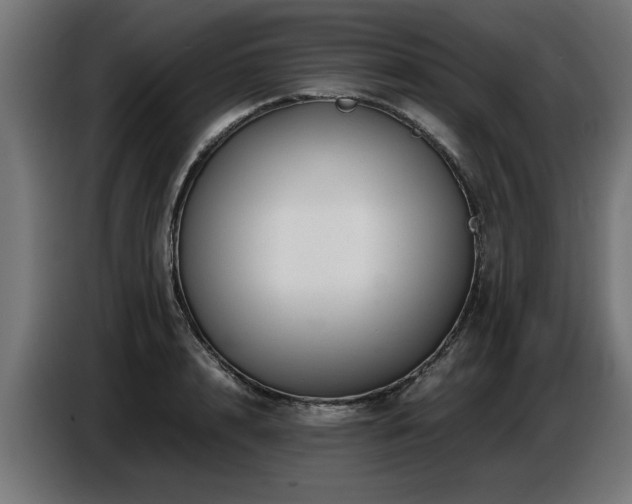 X0000087710848200705041057