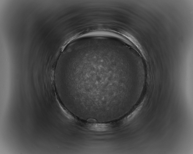 X0000087710849200705041057