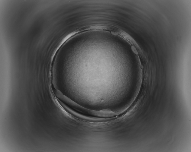X0000087710852200705041057