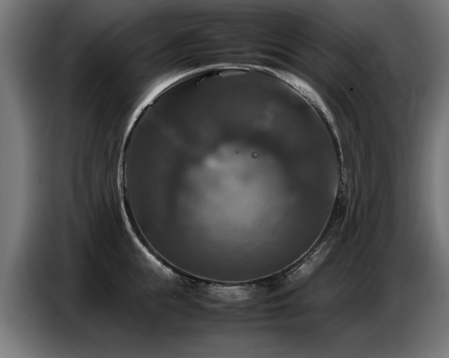 X0000087710855200705041057