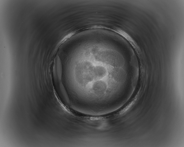 X0000087710857200705041057